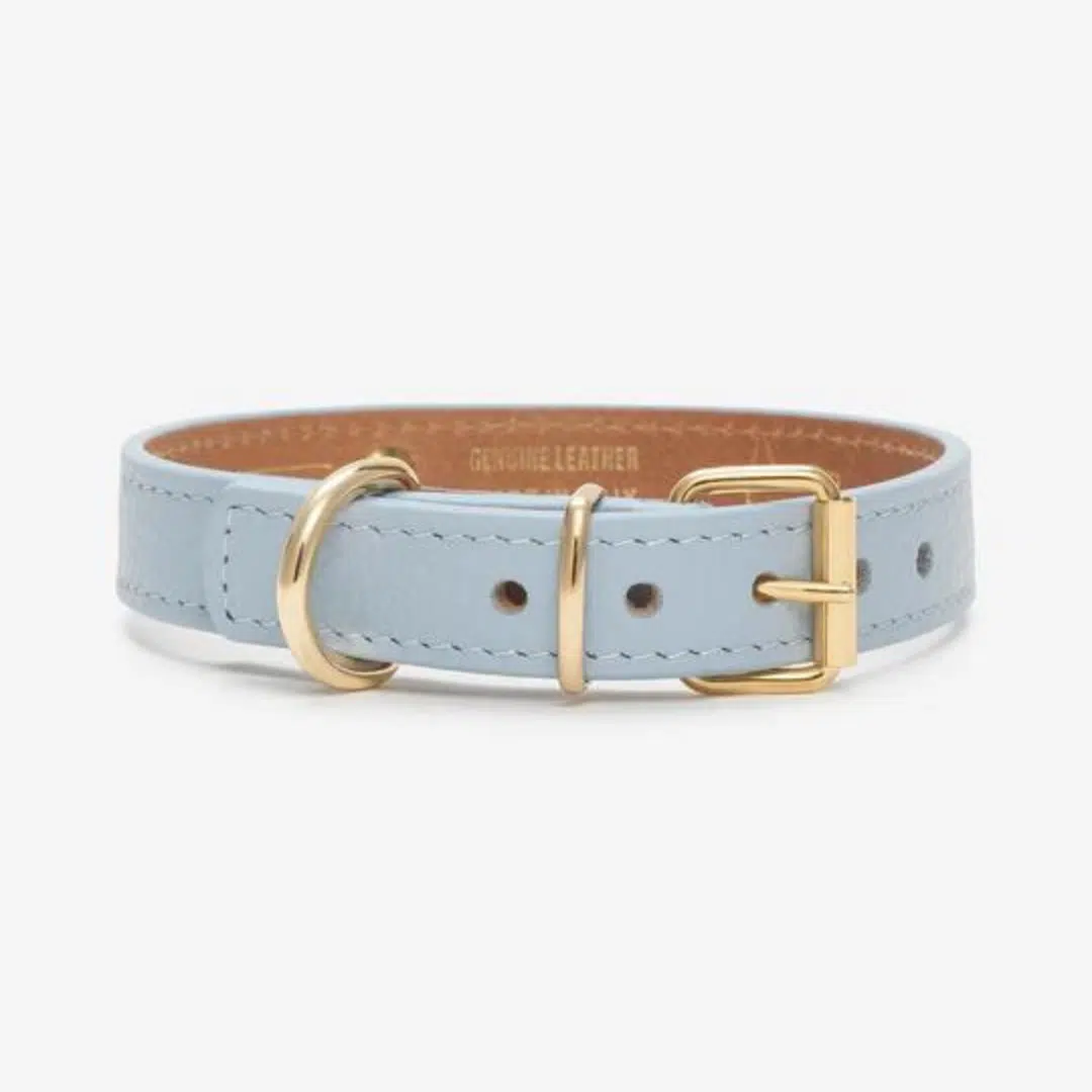 juno sky blue collar