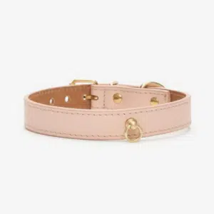 Juno Peach collar