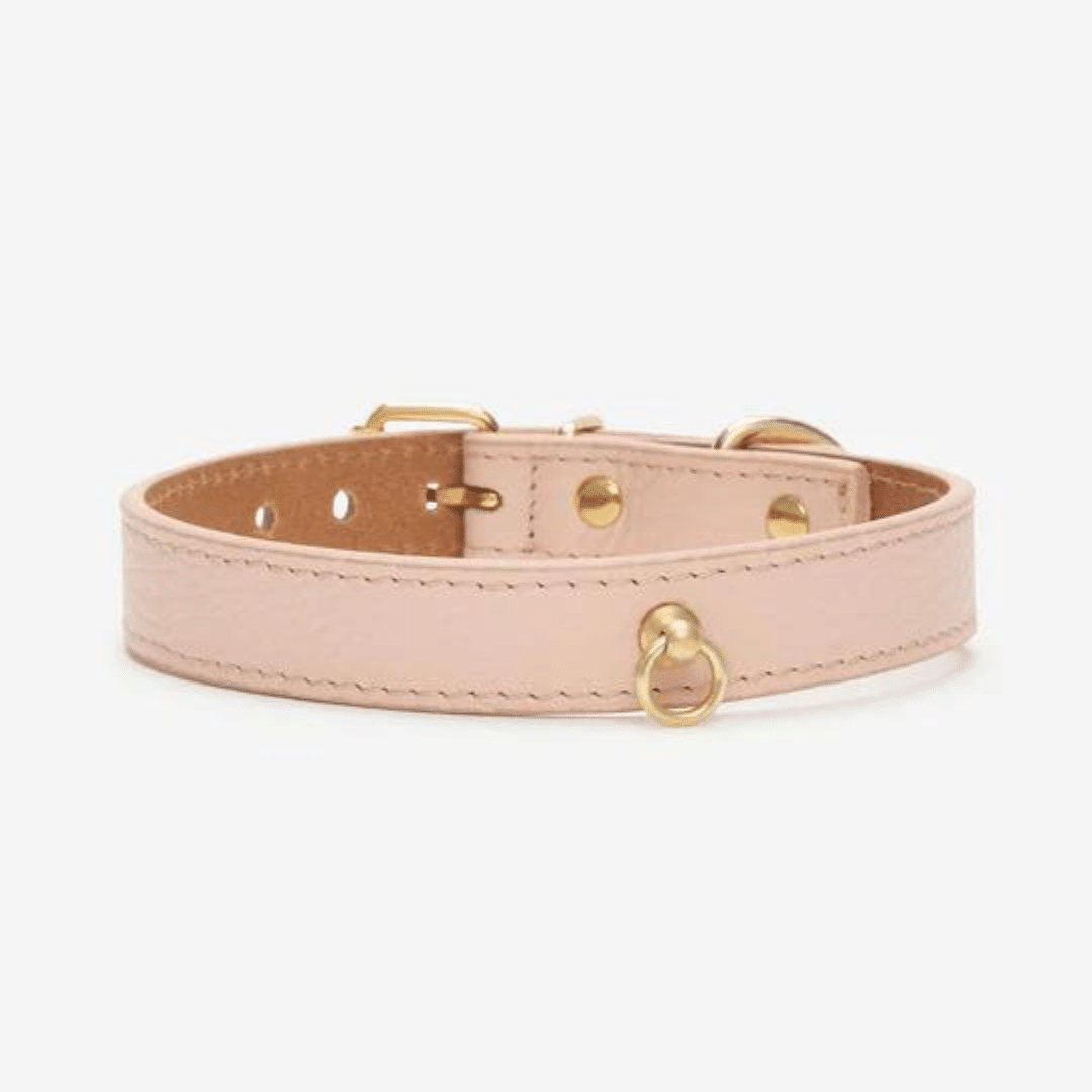 Juno Peach collar