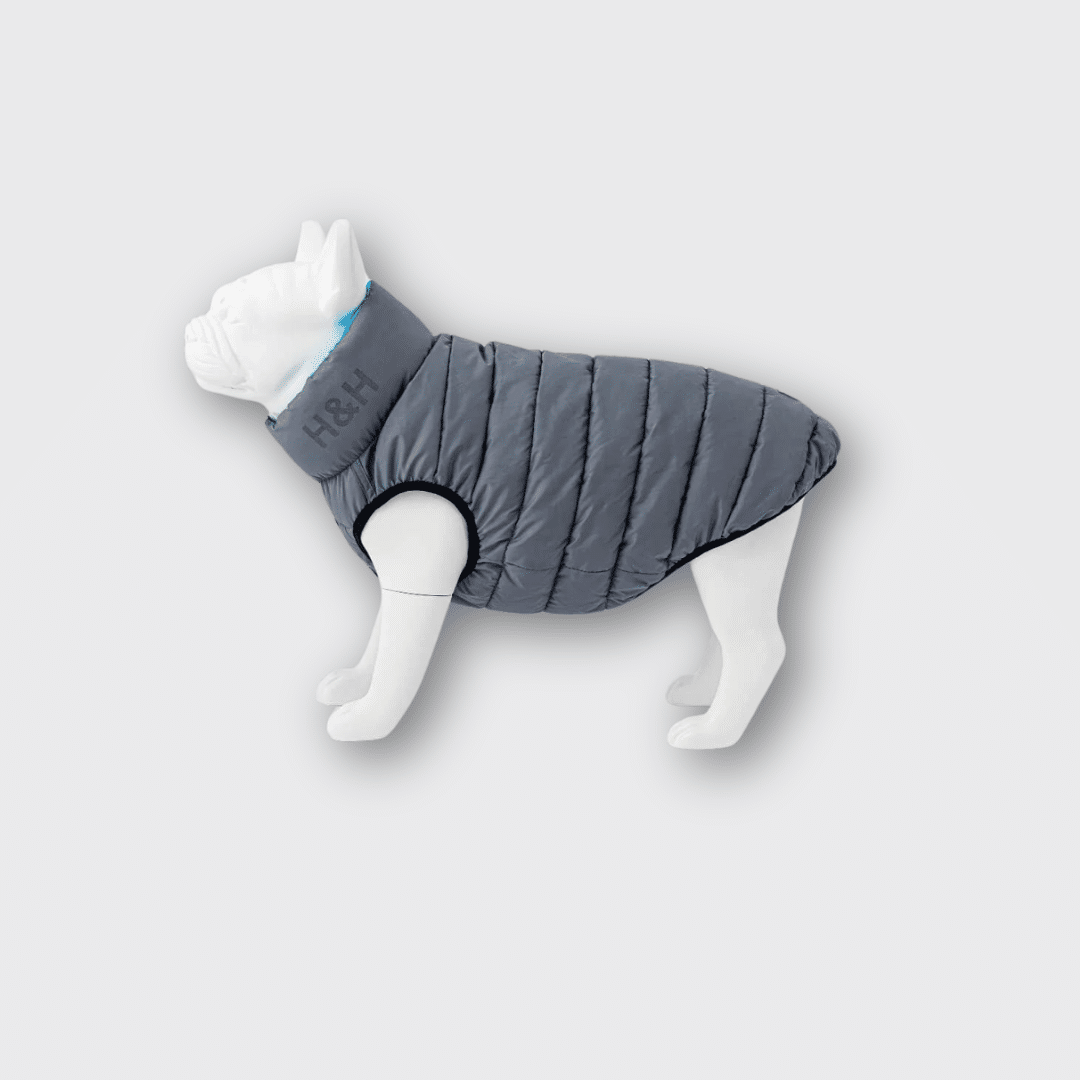 H&H BLUE_ GREY (2)