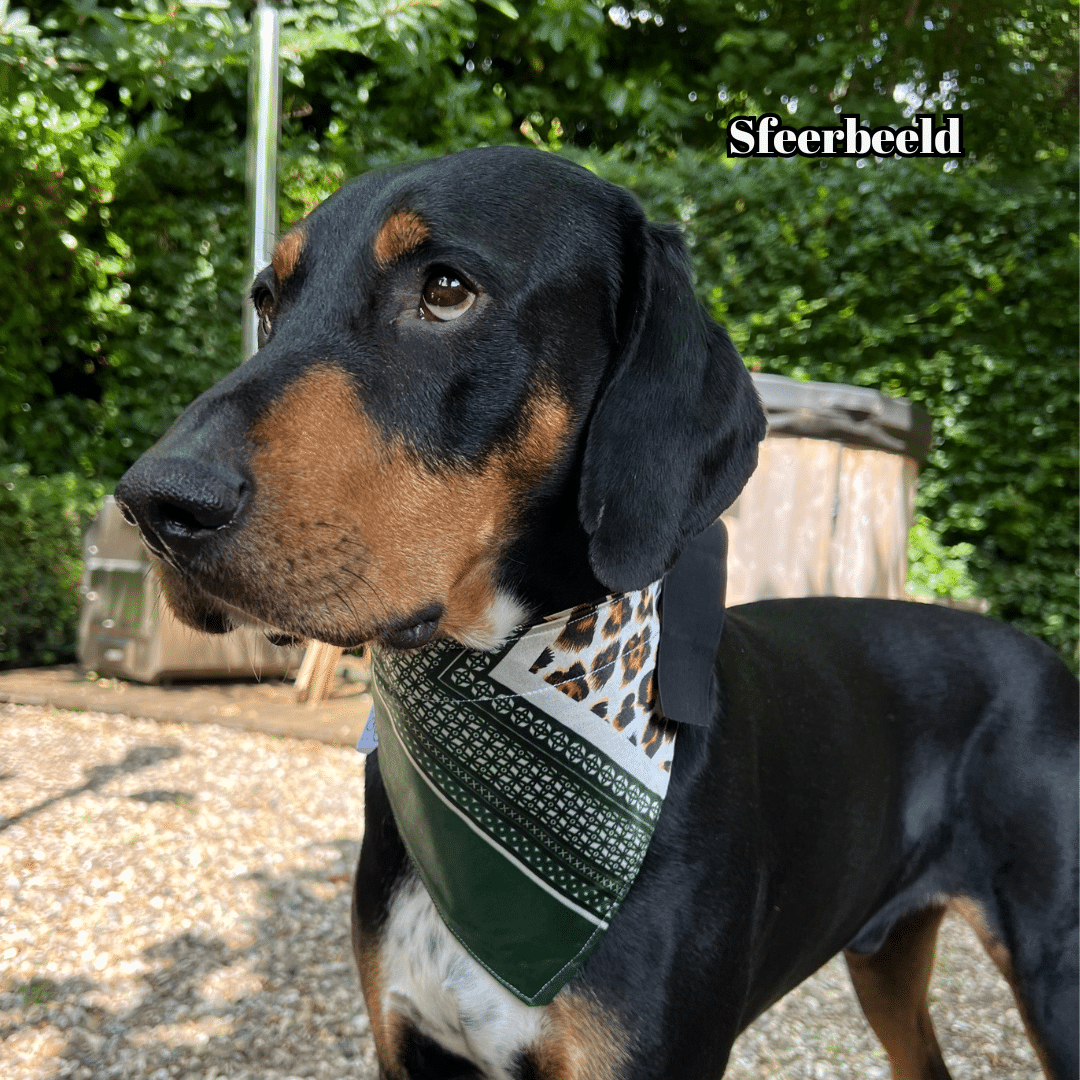Boho bandana's Green_M1a_1