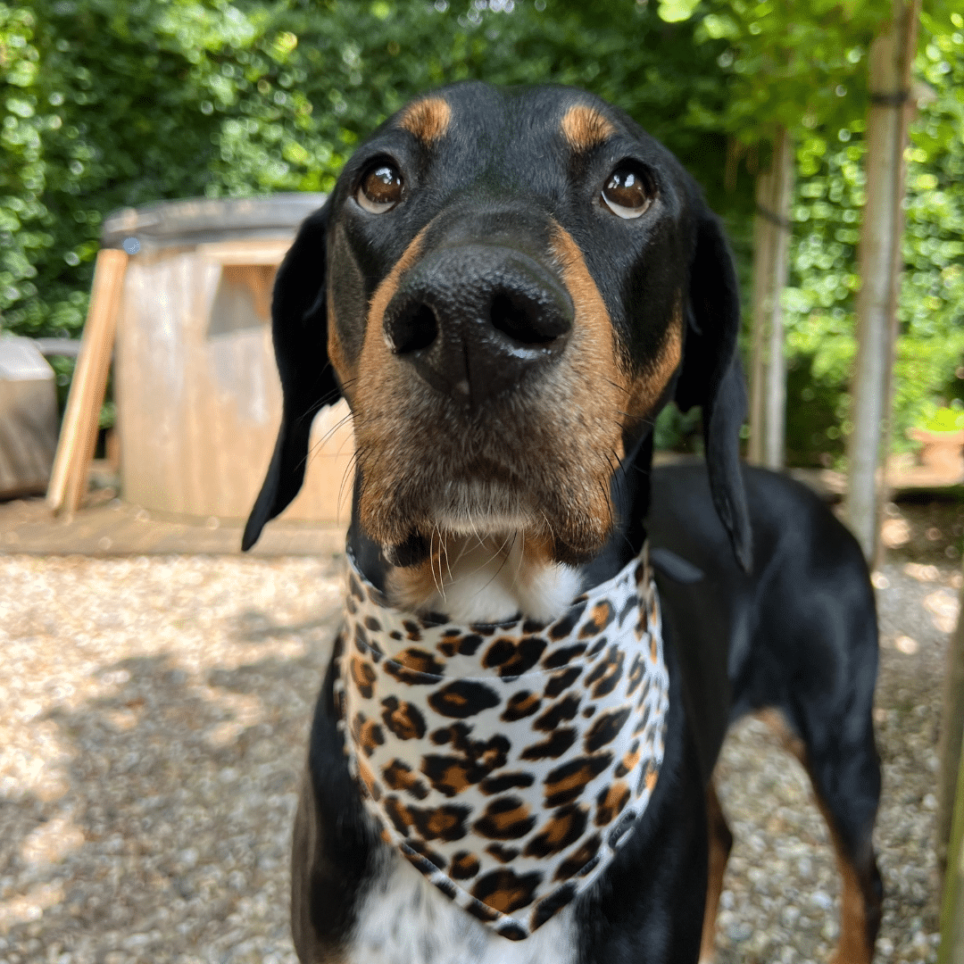 Boho bandana's Green_M1a_3