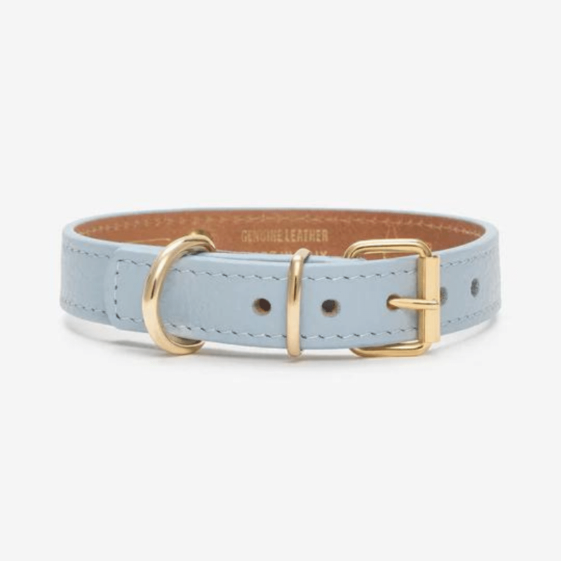 juno sky blue collar