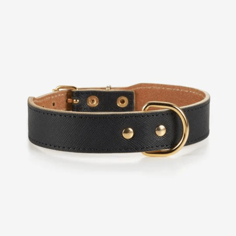 moni black collar