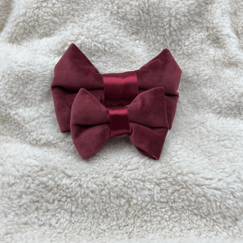 BowTieBordeaux